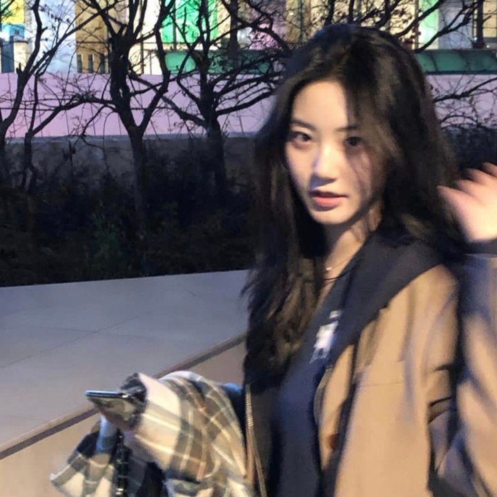 纽约娃娃